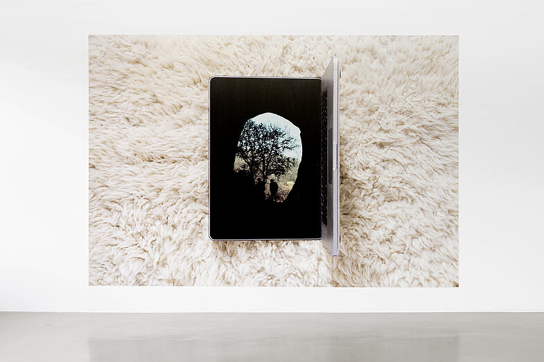 Alexandra Leykauf, Lascaux, 280 cm x 400 cm, c-print, 2022